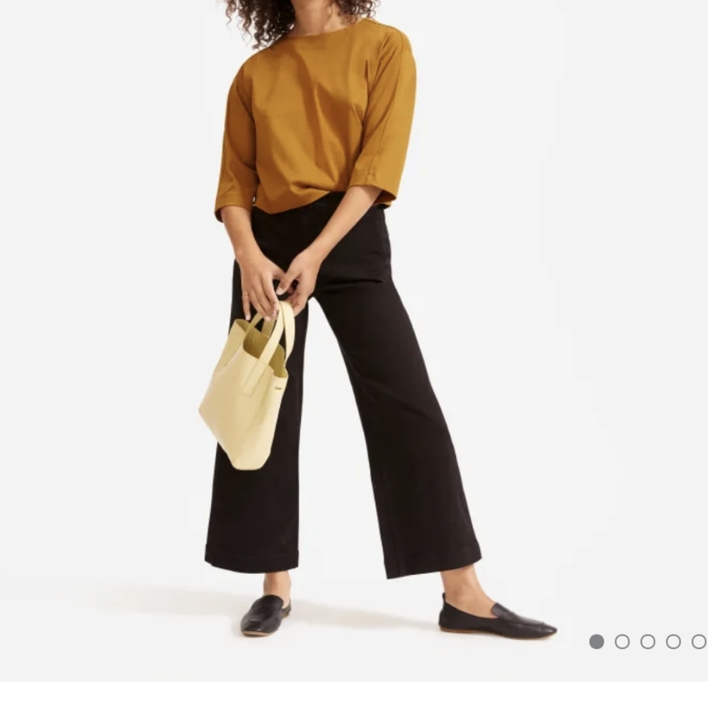 Wide Leg Everlane Pants in Black